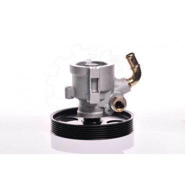 Pompe de Direction Assistée Pour Peugeot 306 405 Partner Citroën Berlingo