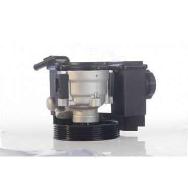 Pompe de Direction Assistée Pour Peugeot 206 Partner Citroën Berlingo Xsara