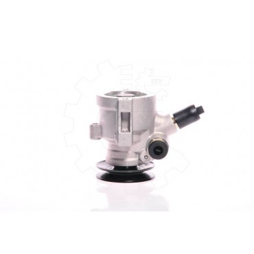 Pompe de Direction Assistée Pour Peugeot 205 309 405 Citroën C15