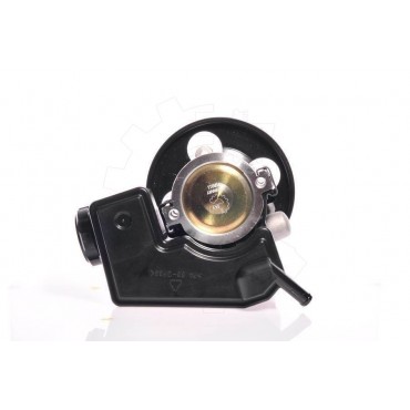 Pompe de Direction Assistée Pour Peugeot 206 Citroën C2 4007V5 9631411580