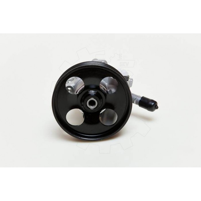 Pompe de Direction Assistée Pour Peugeot 206 207 307 407 Citroën C4 C5