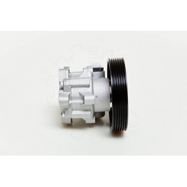 Pompe de Direction Assistée Pour Peugeot 206 207 307 407 Citroën C4 C5