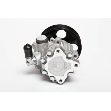 Pompe de Direction Assistée Pour Peugeot Renault Dacia Fiat 4007A6 9040906580