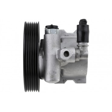 Pompe de Direction Assistée Pour Peugeot 406 806 Fiat Citroën Jumpy 9630706380