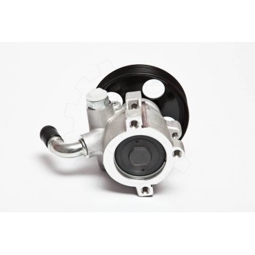 Pompe de Direction Assistée Pour Citroën Xsara 4007W2