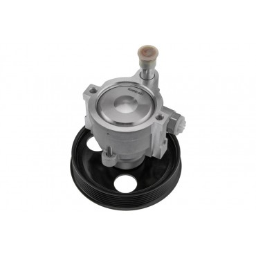 Pompe de Direction Assistée Pour Renault Laguna Megane I Scenic Scénic Dacia