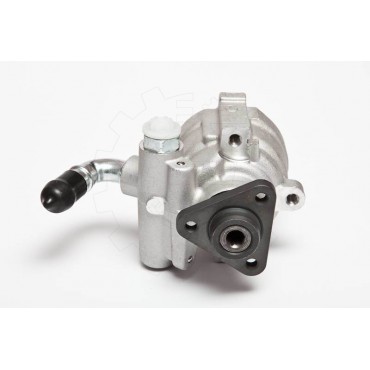 Pompe de Direction Assistée Pour Fiat Brava Bravo I Doblo Linea Palio 46764513