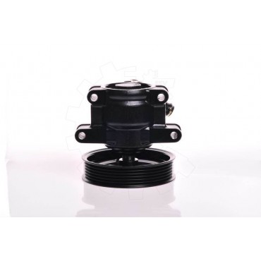 Pompe de Direction Assistée Pour Ford Fiesta IV KA 4048773 4153191 4178574