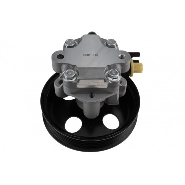 Pompe de Direction Assistée Pour Hyundai Sonata V 571003K000