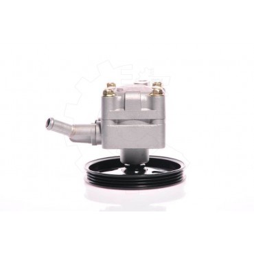 Pompe de Direction Assistée Pour Nissan Almera II 491105M400
