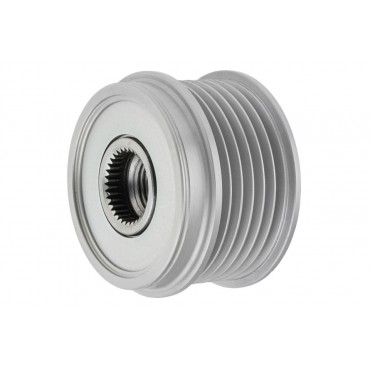 Poulie d'Alternateur Pour Peugeot Renault Opel Fiat 1608858180 6204212 51805799