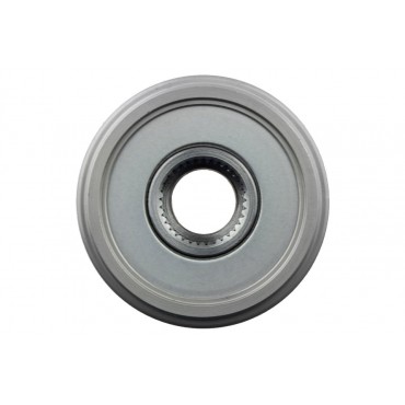 Poulie d'Alternateur Pour Peugeot Renault Opel Fiat 1608858180 6204212 51805799