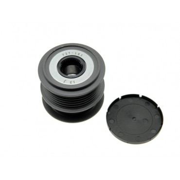 Poulie d'Alternateur Pour Ford Jaguar Land Rover Volvo 9G9N10300BB BJ3210300CA