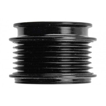 Poulie d'Alternateur Pour Ford Galaxy 3M2110300AA 3M2110300BA 4M2110300CA