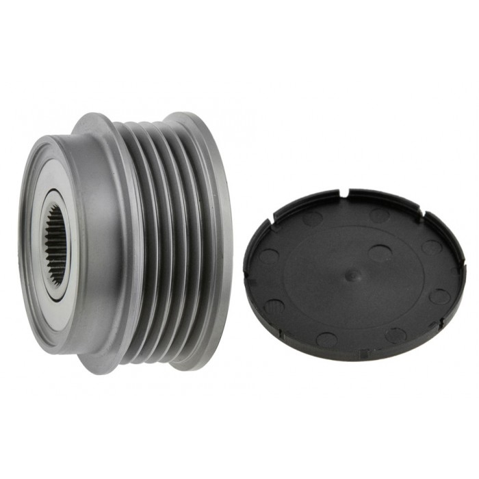 Poulie d'Alternateur Pour Hyundai Terracan Kia Carnival/Grand Carnival III I II