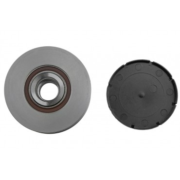 Poulie d'Alternateur Pour Hyundai Terracan Kia Carnival/Grand Carnival III I II