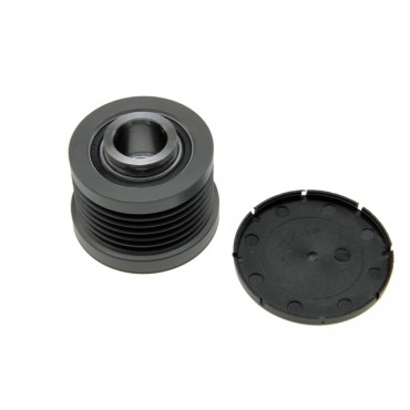 Poulie d'Alternateur Pour Renault Opel Nissan Mitsubishi 8200162474 4403540