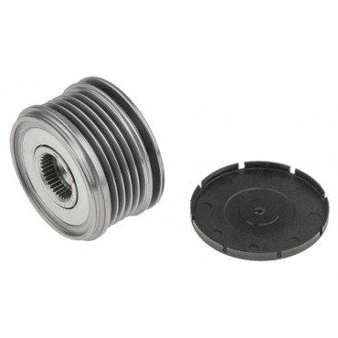 Poulie d'Alternateur Pour Renault Clio II Kangoo Thalia I III Nissan Kubistar