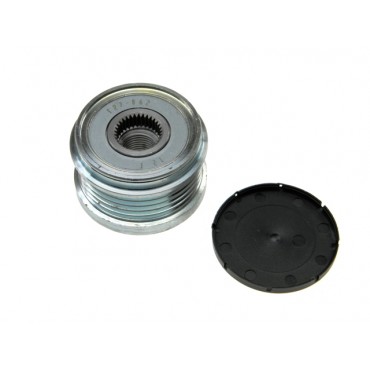 Poulie d'Alternateur Pour Renault Clio III Modus Thalia 8200360480 8200360481
