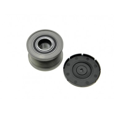 Poulie d'Alternateur Pour Renault Clio III 231000003R 231000012R 7701065385