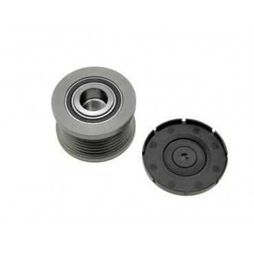 Poulie d'Alternateur Pour Renault Clio III 231000003R 231000012R 7701065385