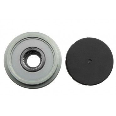 Poulie d'Alternateur Pour Volvo C70 I S40 S60 S70 S80 V40 V70 II XC70 36012358