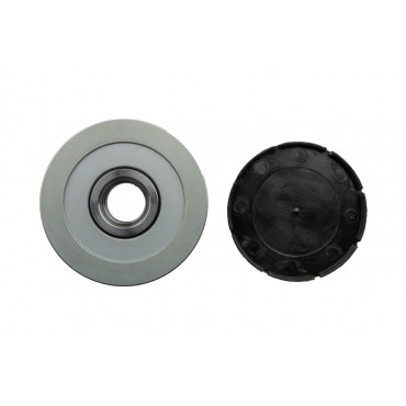 Poulie d'Alternateur Pour Volvo C70 I S40 S60 S70 S80 V40 V70 II XC70 36012358