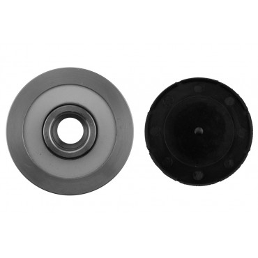 Poulie d'Alternateur Pour Volvo S40 I V40 30782701 8251655 8601699 9472908