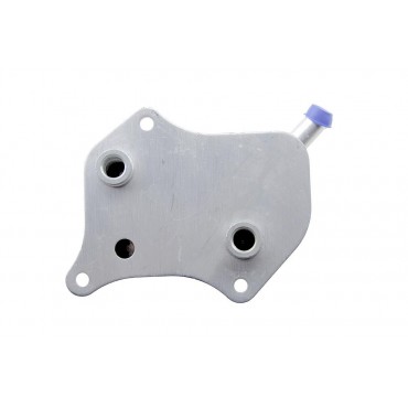 Radiateur d'Huile Moteur Pour VW Passat Audi A4 A6