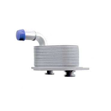 Radiateur d'Huile Moteur Pour VW Passat Audi A4 A6