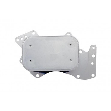 Radiateur d'Huile Moteur Pour VW Phaeton Touareg Audi A4 A5 A6 Q5 Q7