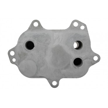 Radiateur d'Huile Moteur Pour Audi A4 A5 A6 Q5 03N115389N 03N117021B