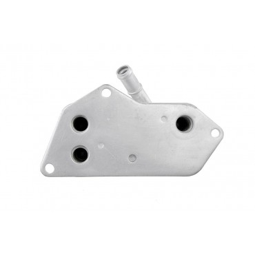 Radiateur d'Huile Moteur Pour BMW F33, F83 F36 5 E60 E61 F07 F10 F11 11427525333