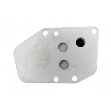 Radiateur d'Huile Moteur Pour BMW Série 1 E87 3 E46 E90 E91 5 E39 11427787698