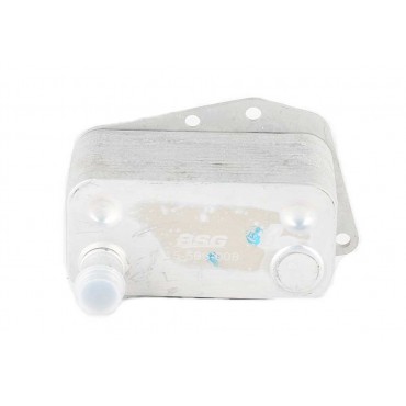 Radiateur d'Huile Moteur Pour BMW Série 1 E87 3 E46 E90 E91 5 E39 11427787698