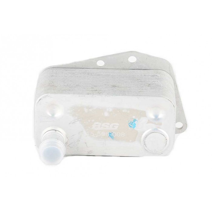 Radiateur d'Huile Moteur Pour BMW Série 1 E87 3 E46 E90 E91 5 E39 11427787698