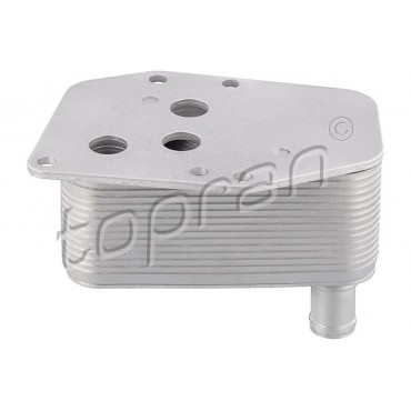 Radiateur d'Huile Moteur Pour BMW Série 1 E87 3 E46 E90 E91 5 E60 11427787698