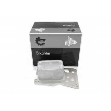 Radiateur d'Huile Moteur Pour BMW F31 F34 4 F32, F82 F33, F83 F36 5 F07 F10 F11