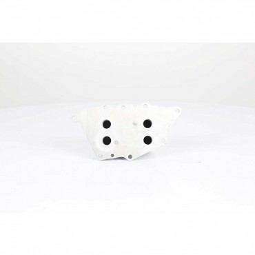 Radiateur d'Huile Moteur Pour BMW i8 I12 Série 1 F20 F21 2 F45 F46 X1 F48 Mini