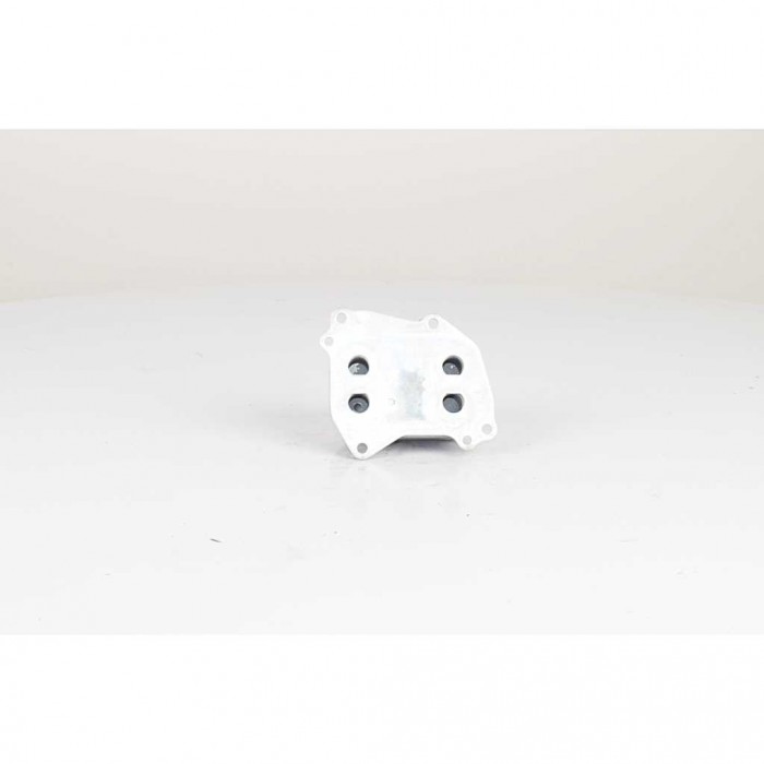 Radiateur d'Huile Moteur Pour BMW Série 1 F20 F21 3 F30, F80 11427625489