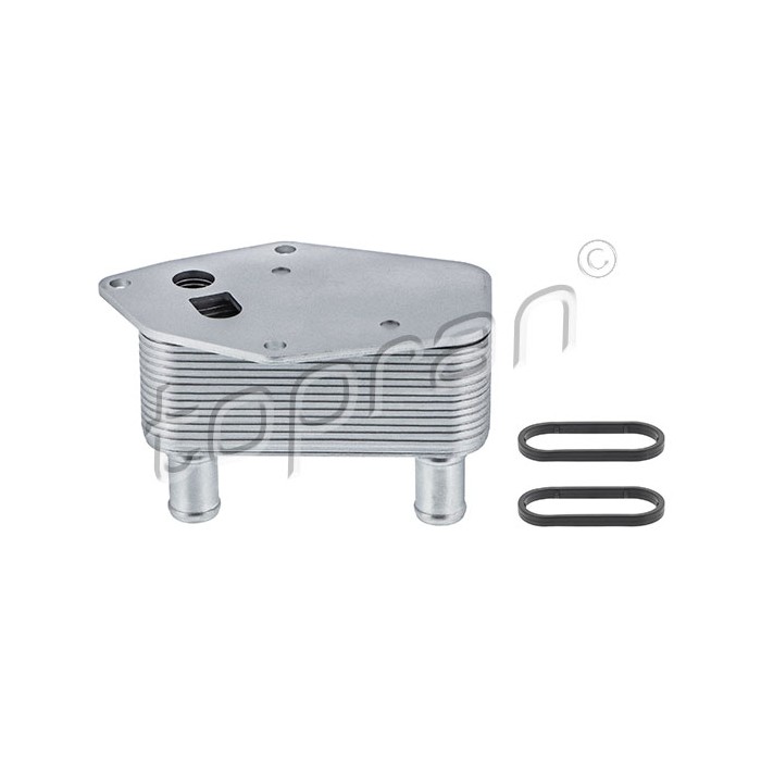 Radiateur d'Huile Moteur Pour BMW Série 3 E46 5 E39 11422247015