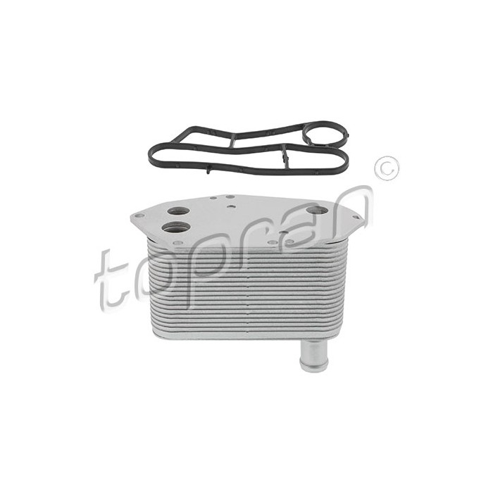 Radiateur d'Huile Moteur Pour BMW Série 3 E46 5 E39 7 E38 X5 E53 11422247204