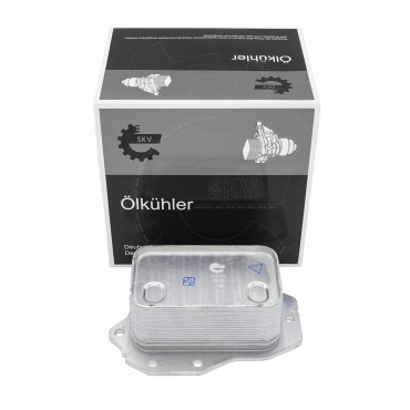 Radiateur d'Huile Moteur Pour BMW X4 F98, G02 X5 F95, G05 Z4 G29 11428580414