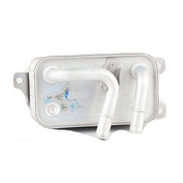 Radiateur d'Huile Moteur Pour BMW Série 5 E60 E61 6 E63 E64 17217507974