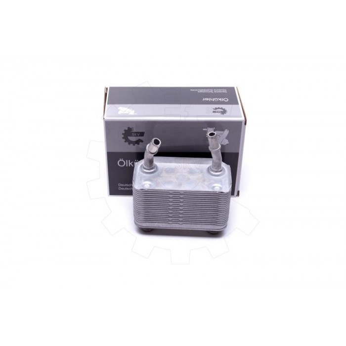 Radiateur d'Huile Moteur Pour BMW X5 E53 17101439112 17207500754