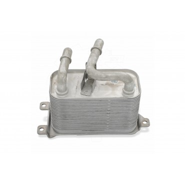 Radiateur d'Huile Moteur Pour BMW X5 E53 17117534896 17217534896