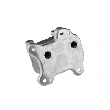 Radiateur d'Huile Moteur Pour Opel Astra G Chevrolet Vauxhall 650616 97223705