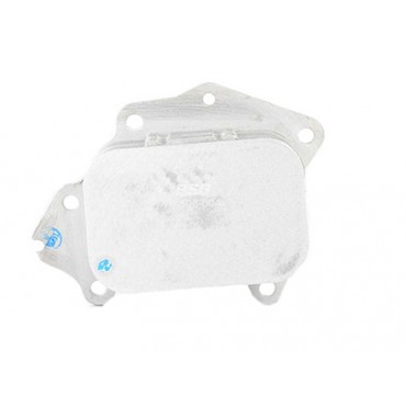 Radiateur d'Huile Moteur Pour Peugeot Ford Citroën Mazda 1103L1 1516998 1103S7