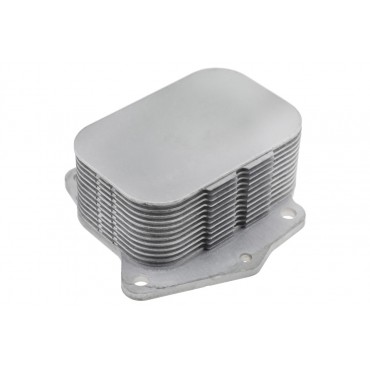 Radiateur d'Huile Moteur Pour Peugeot Ford Toyota Suzuki 1660073J00 1703252