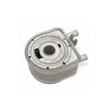 Radiateur d'Huile Moteur Pour Peugeot Fiat Citroën 1103G7 9650863380 1103H4